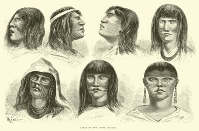 アンチインディアンの種類 作： Edouard Riou